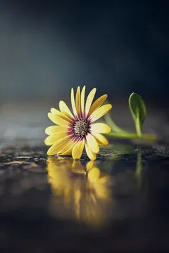 教学与牌型演示界面